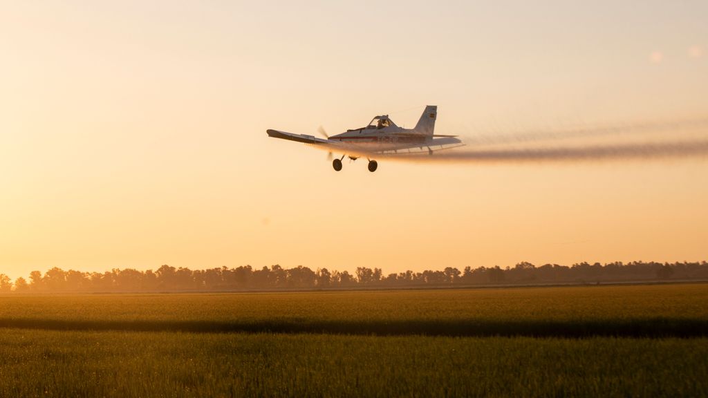 Avioneta abonando un campo de arroz en Isla Mayor
