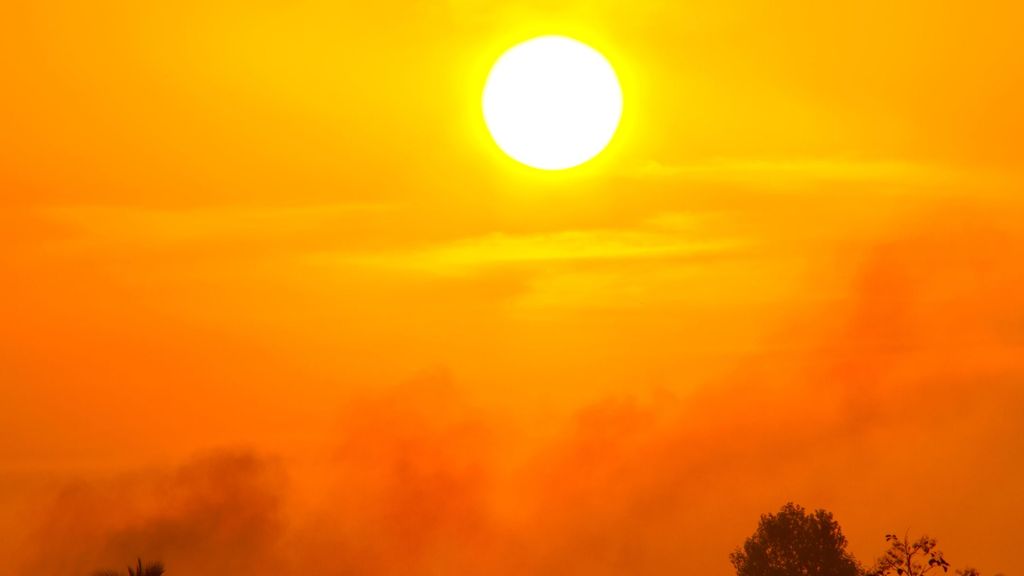 La próxima generación sufrirá un estrés por calor peligroso constante, según un estudio