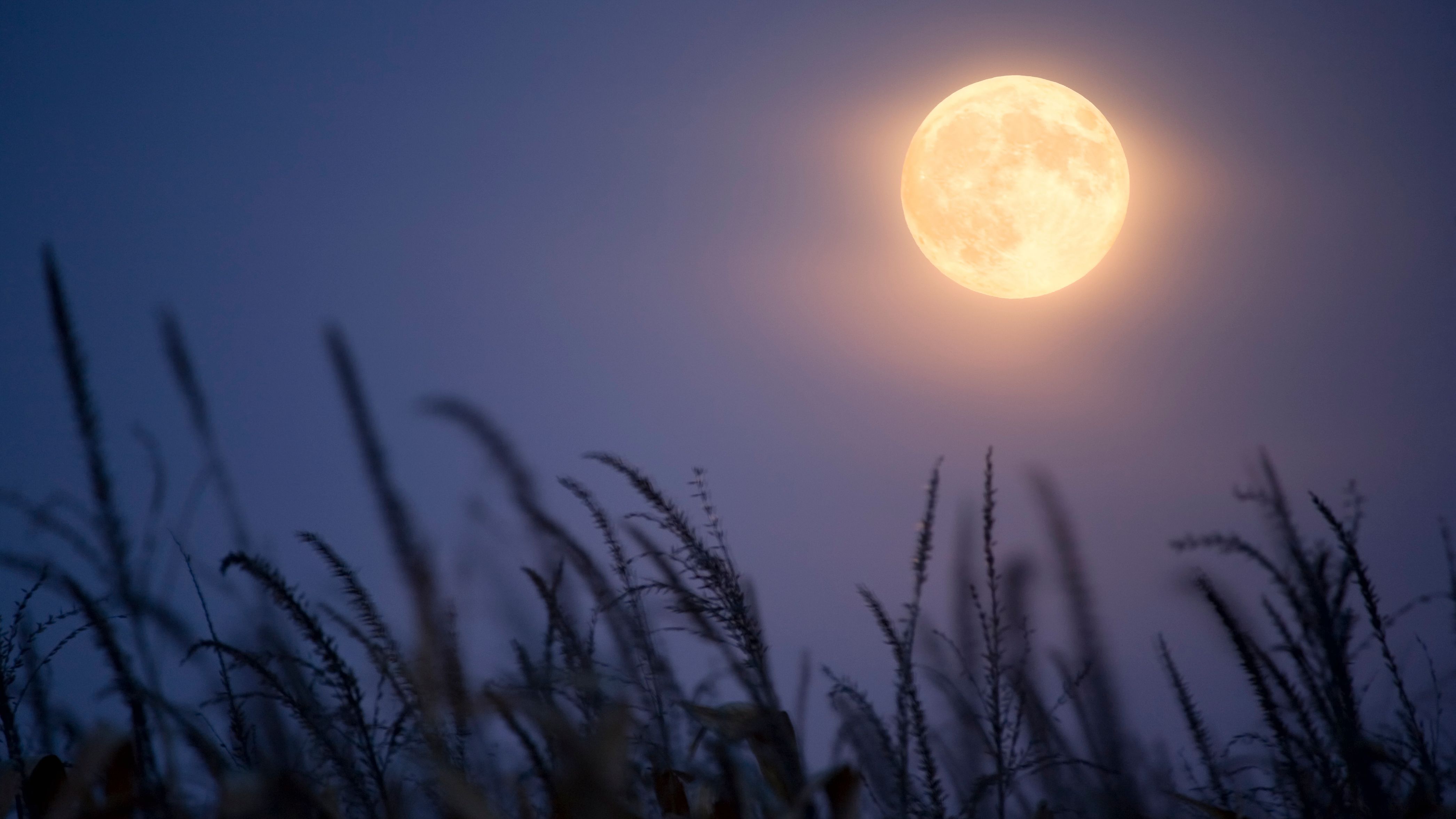 Luna Llena de Cosecha