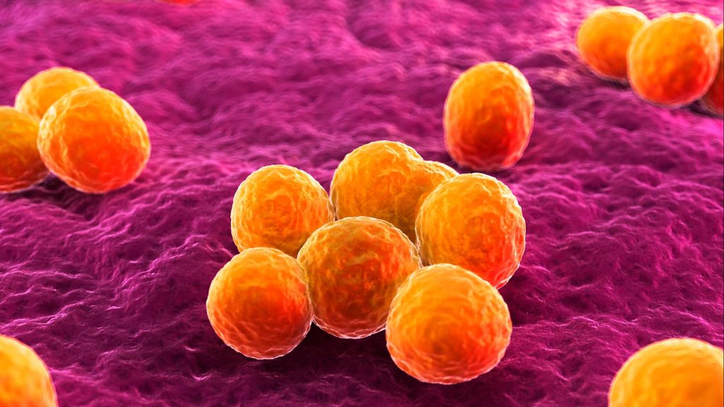 Recreación artística de bacterias resistentes de Staphylococcus aureus