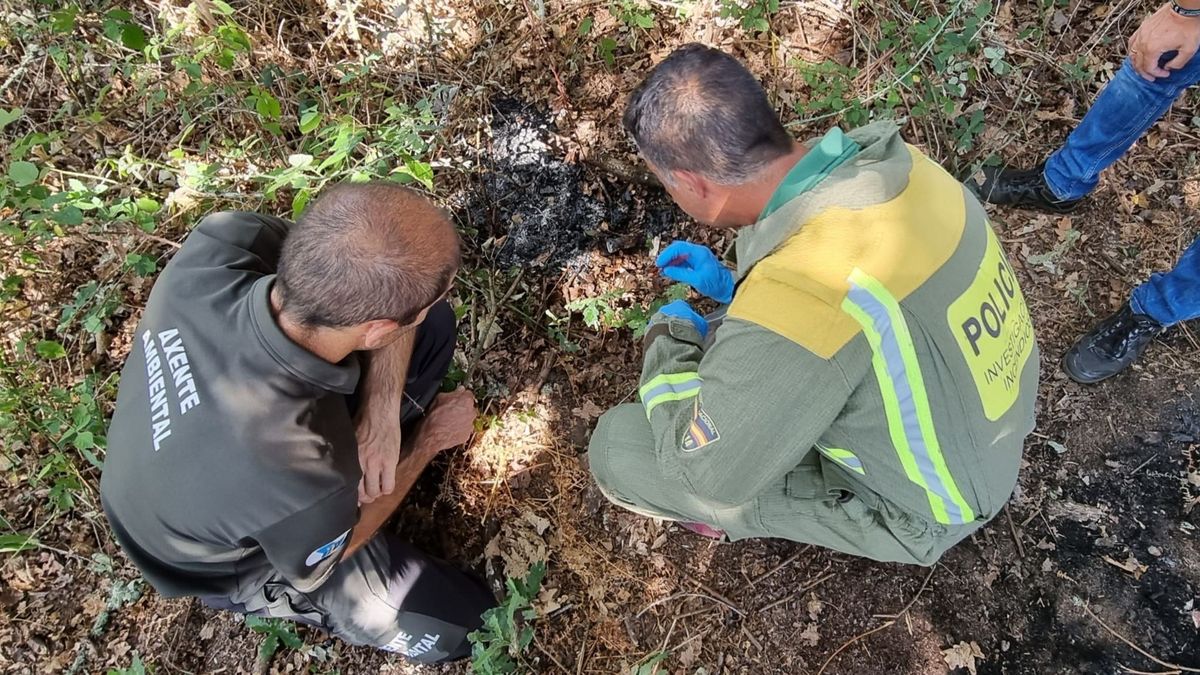 Una mujer identificada cuando llevaba pastillas de encendido y un mechero para presuntamente prender fuego en un monte de Amoeiro (Ourense) Una mujer identificada cuando llevaba pastillas de encendido y un mechero para presuntamente prender fuego en un monte de Amoeiro (Ourense)