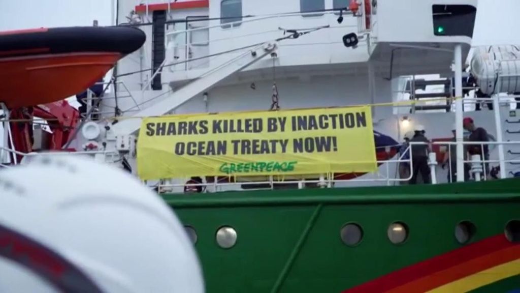 La ONG Greenpeace en lucha para salvar la vida marina de los palangreros