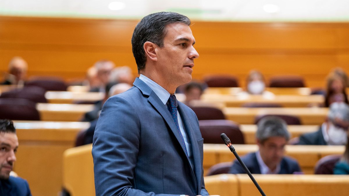 20220830 NAC SANCHEZ SENADO 20220830 NAC SANCHEZ SENADO