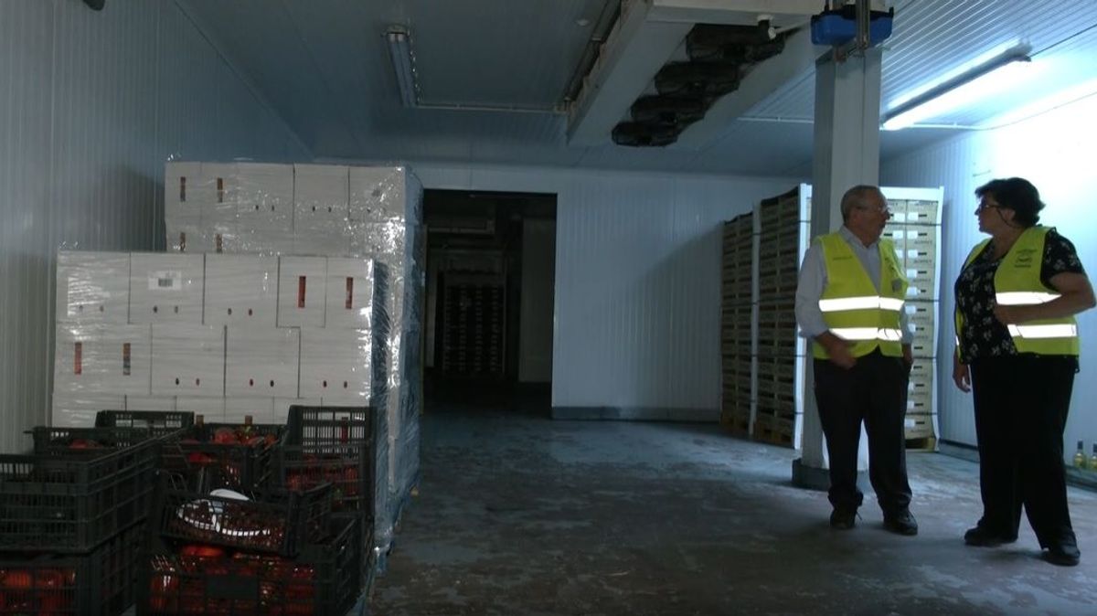 Banco de alimentos Granada Banco de alimentos Granada