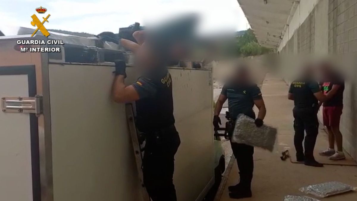 Incautan en Girona 70 kilos de marihuana al vacío en un camión de pescado con destino a Francia Incautan en Girona 70 kilos de marihuana al vacío en un camión de pescado con destino a Francia