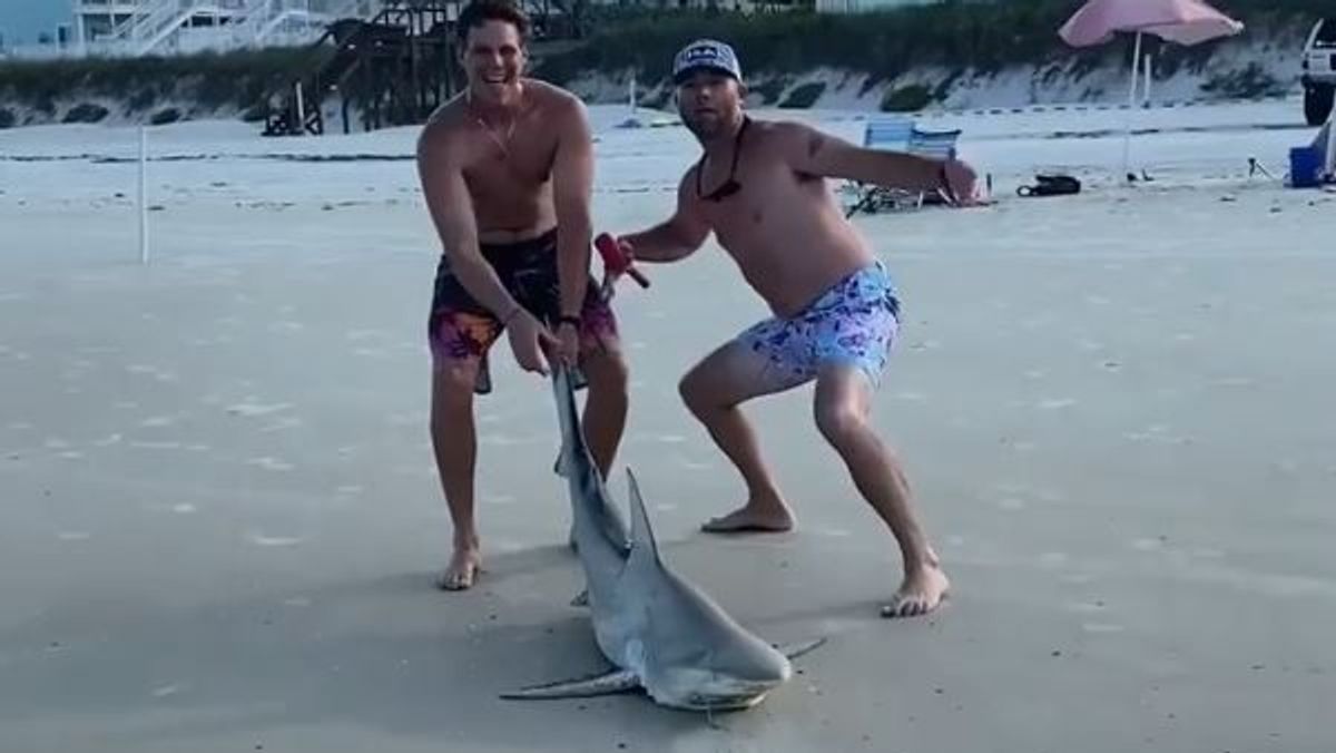 Polémica por el vídeo de dos hombres arrastrando y apuñalando a un tiburón en Florida
