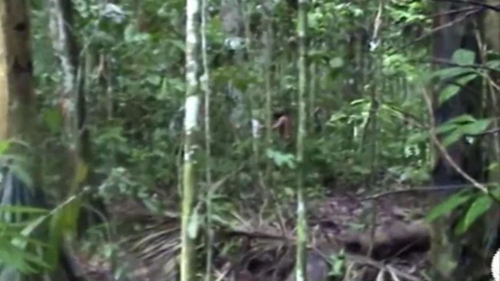 Muere el último superviviente de una tribu amazónica después de casi tres décadas en soledad