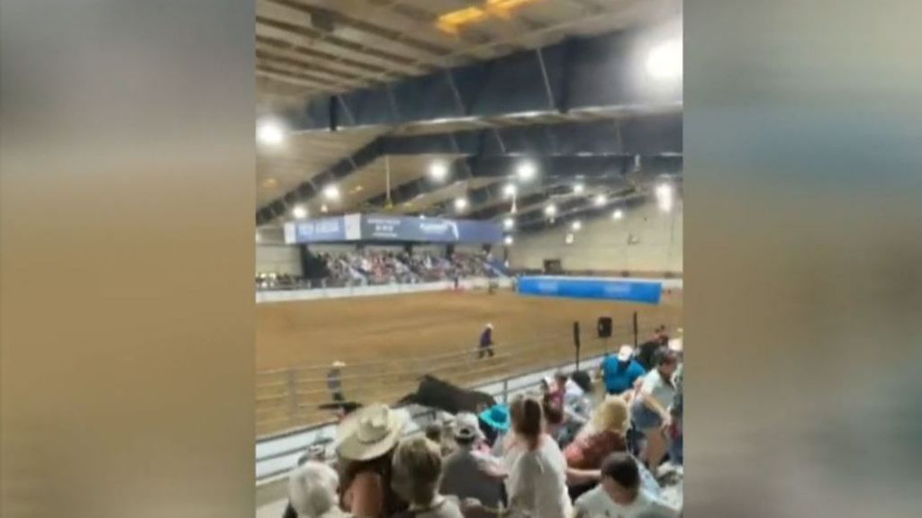 Un toro se cuela entre el público de un rodeo en Florida