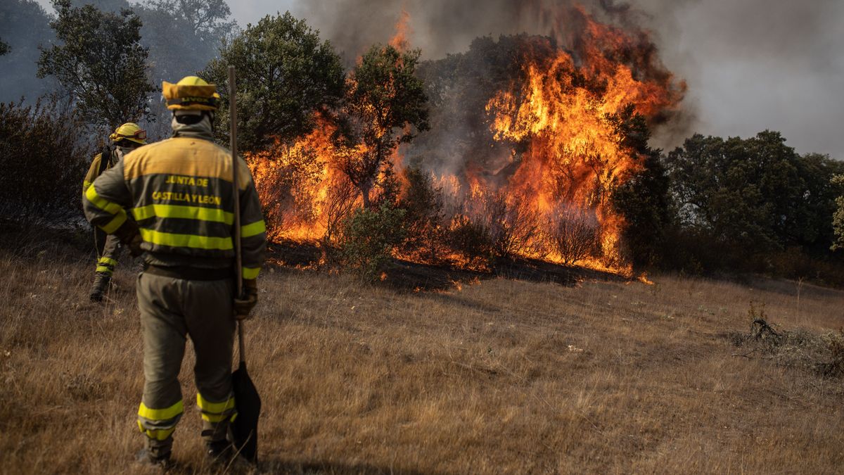 Varios bomberos trabajan en la extinción del fuego del incendio de Losacio, a 18 de julio de 2022, en Pumarejo de Tera, Zamora,