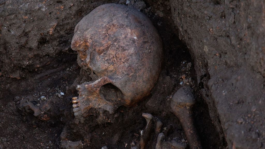 EuropaPress 4644133 craneo demas huesos humanos trabajos exhumacion victimas civiles guerra