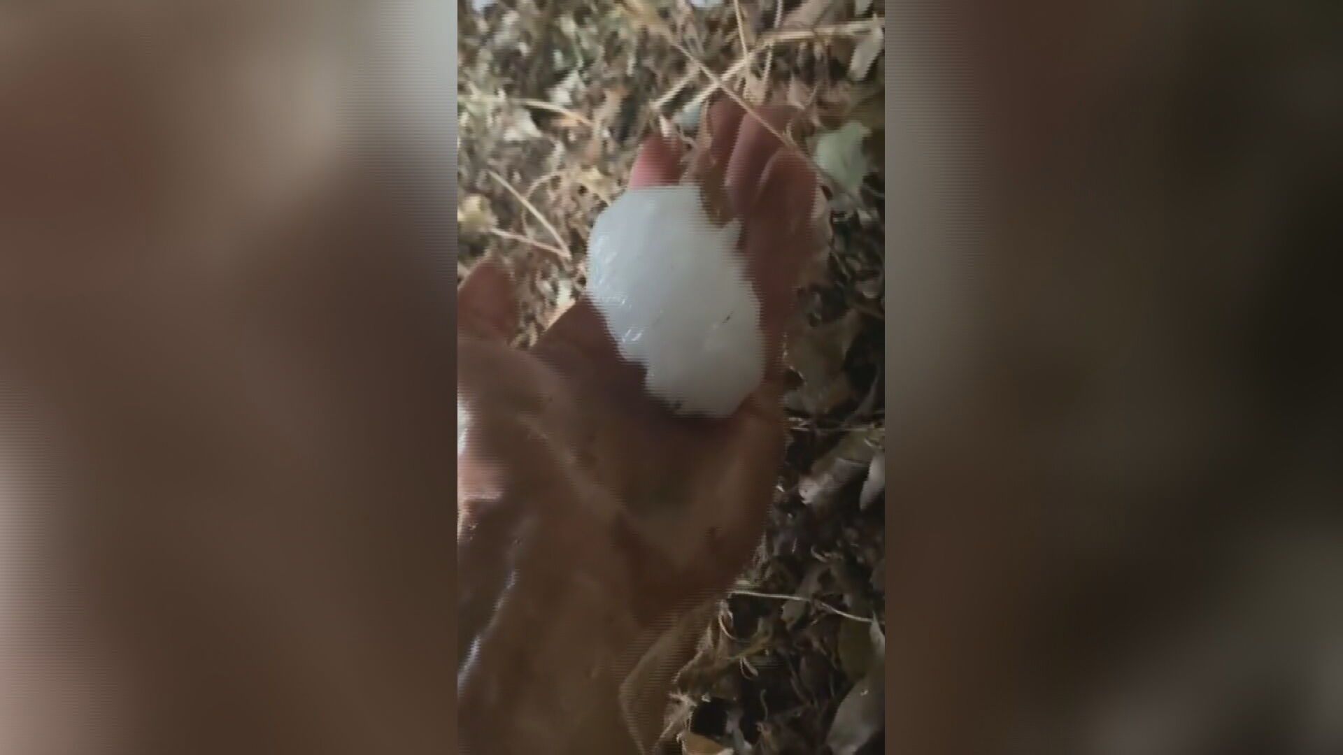 Un hombre sangrando por la cabeza se refugia bajo su tractor de las “piedras de granizo” en Girona (Agosto 2022)