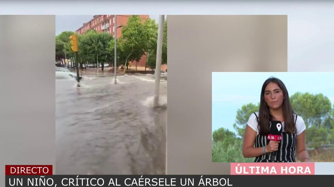 Un niño de 13 años, en estado crítico tras la caída de un árbol en pleno temporal en Barcelona