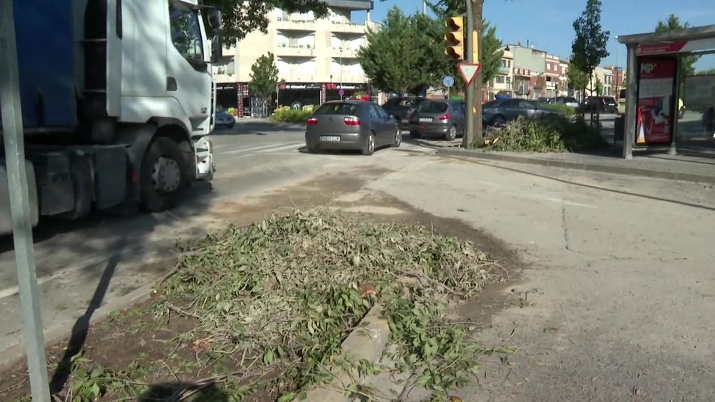 El menor de 13 años alcanzado por una rama en Barcelona podría pasar a planta en las próximas horas