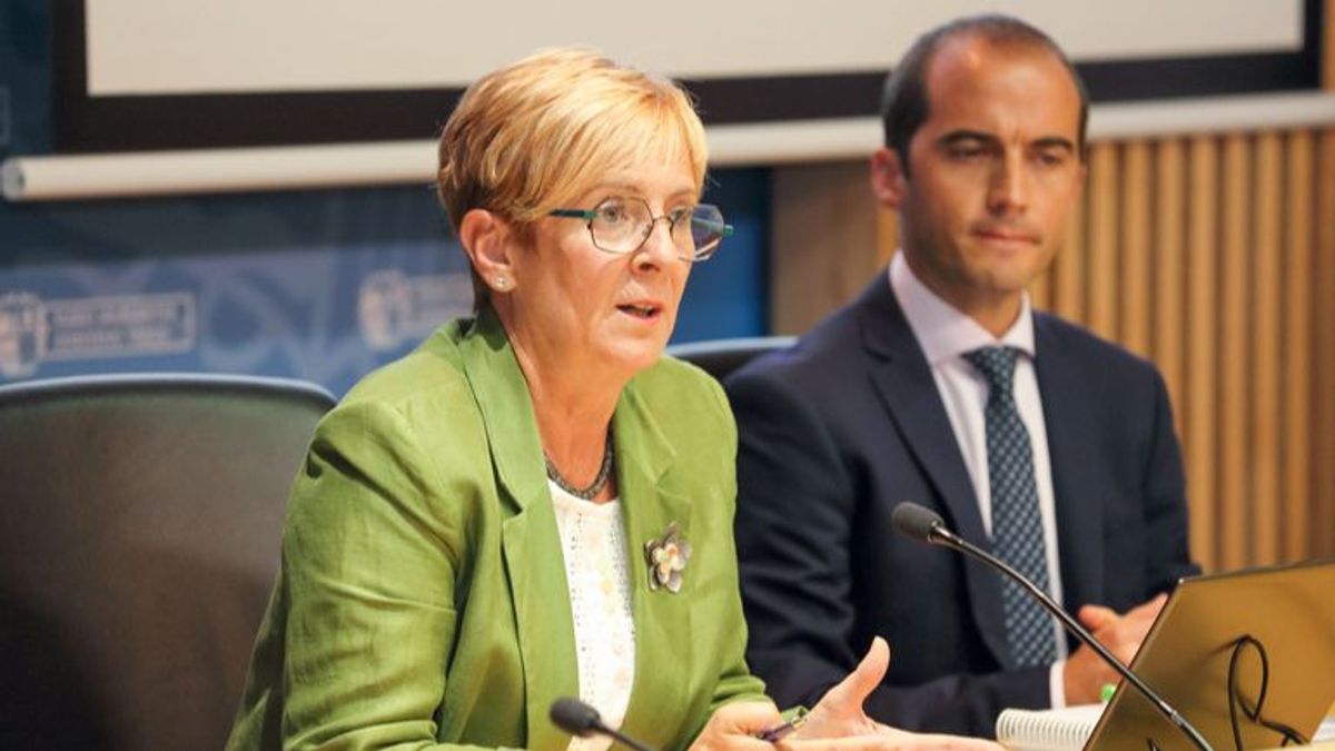 Euskadi pide al Gobierno recuperar el mecanismo de interrumpibilidad y extenderlo al gas Euskadi pide al Gobierno recuperar el mecanismo de interrumpibilidad y extenderlo al gas