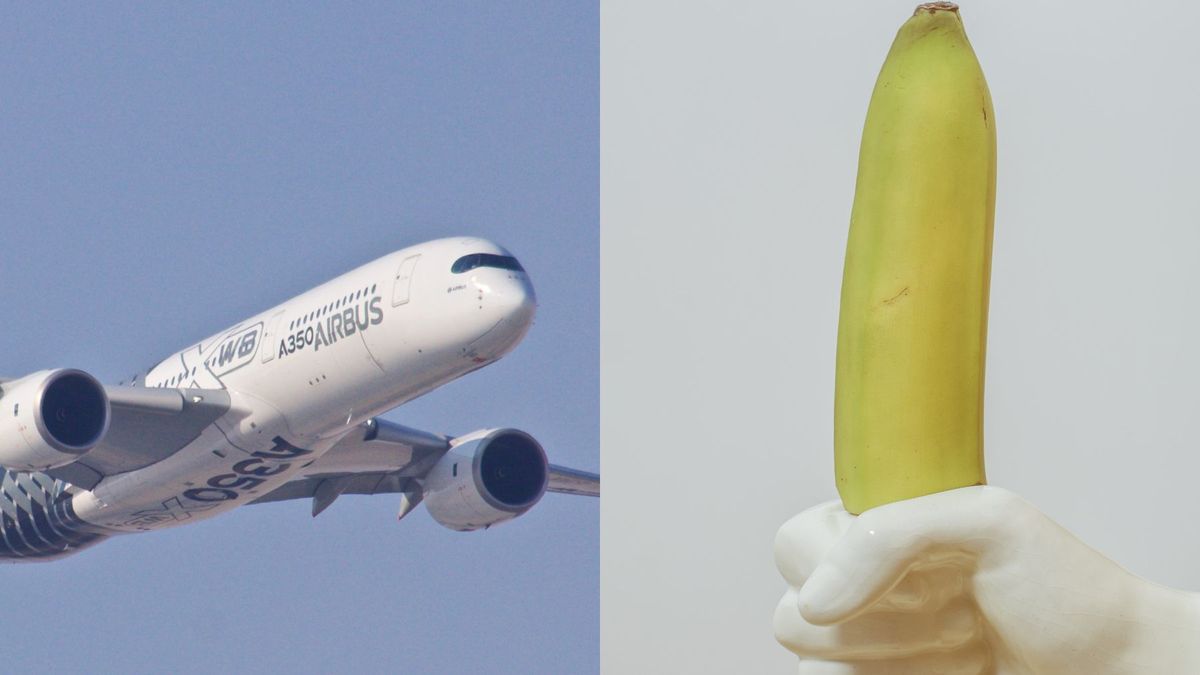 Incidente en un avión: un hombre se dedica a enviar fotos de su pene a otros pasajeros por Airdrop