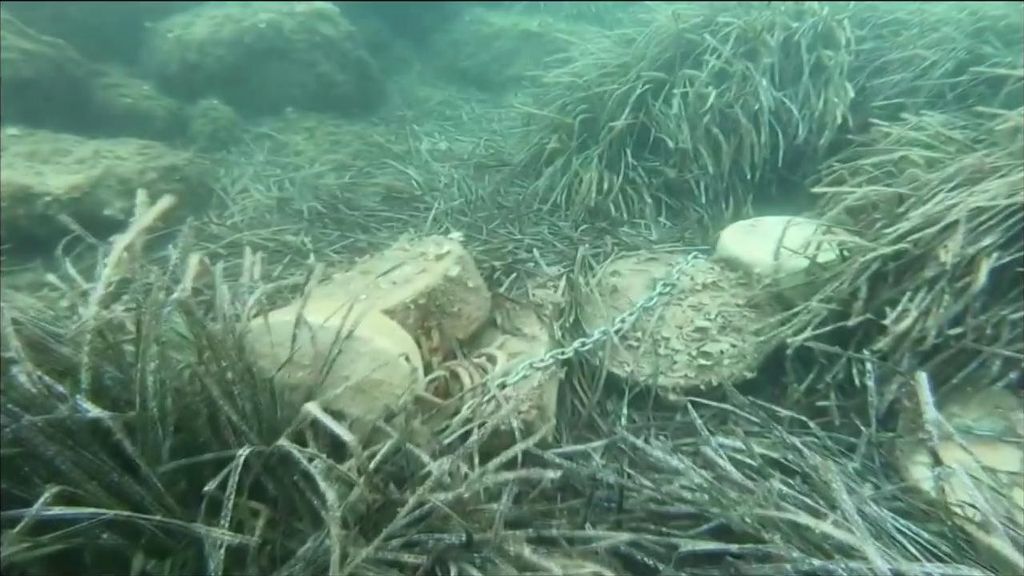 La posidonia en estado crítico por la masificación turística en las Islas Baleares