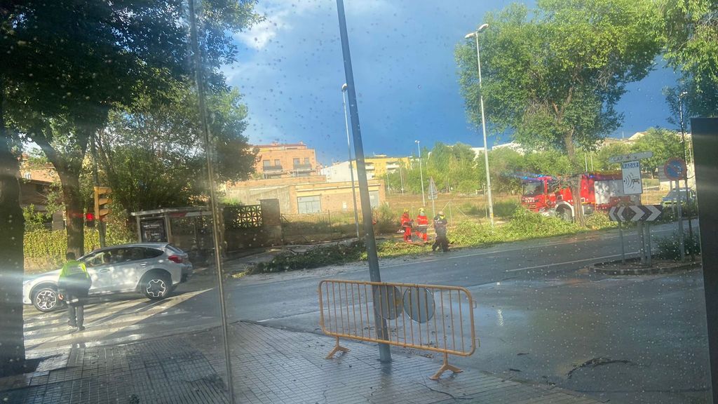 Los bomberos retiran el árbol caído en Vilanova del Camí tras la tormenta