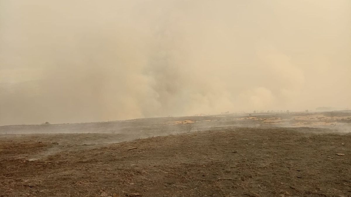 Los últimos incendios activos en la comunidad, en Melón y Cenlle, están extinguido y controlado respectivamente Los últimos incendios activos en la comunidad, en Melón y Cenlle, están extinguido y controlado respectivamente