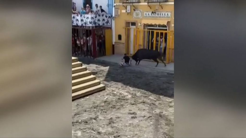 Terrible cogida a un menor de 15 años durante los festejos taurinos de Gilet, en Valencia (Septiembre 2022)