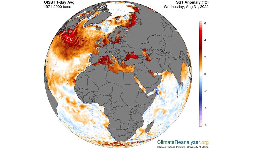 Anomalía de la temperatura superficial del mar