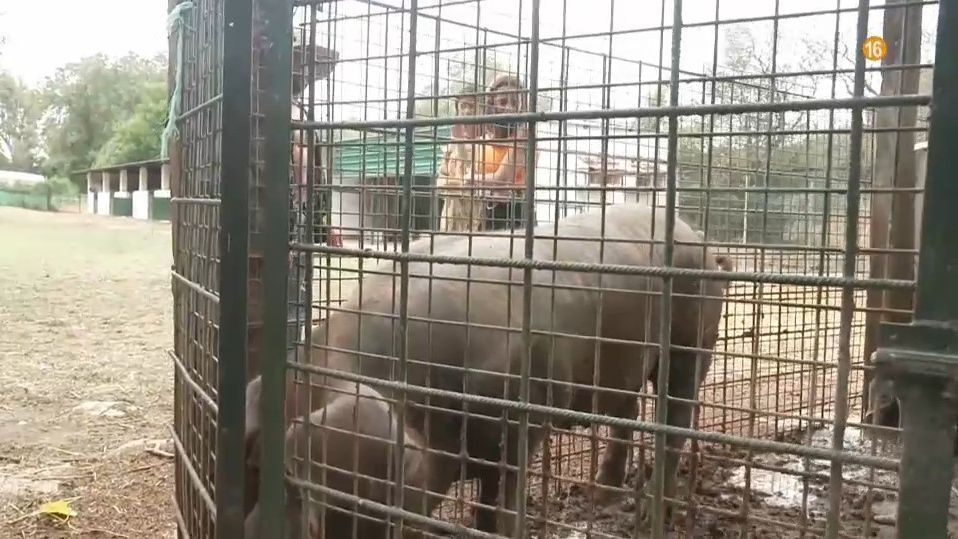 'Pesadilla en El Paraíso'