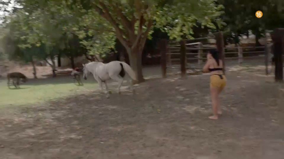 'Pesadilla en El Paraíso'