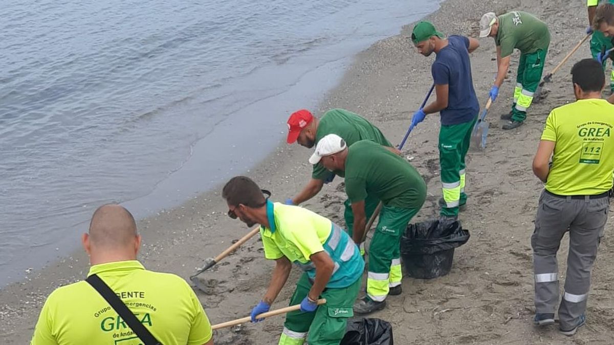 Trabajos de limpieza en la playa de poniente Trabajos de limpieza en la playa de poniente