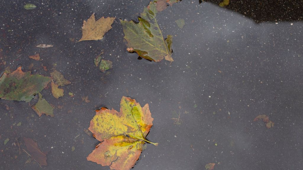 Un ciclón tropical podría afectar a España la semana que viene