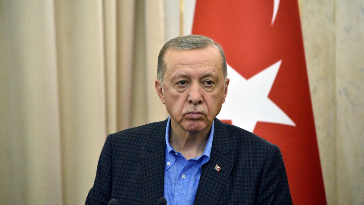 Erdogan se ofrece para mediar por un acuerdo sobre la central nuclear de Zaporiyia