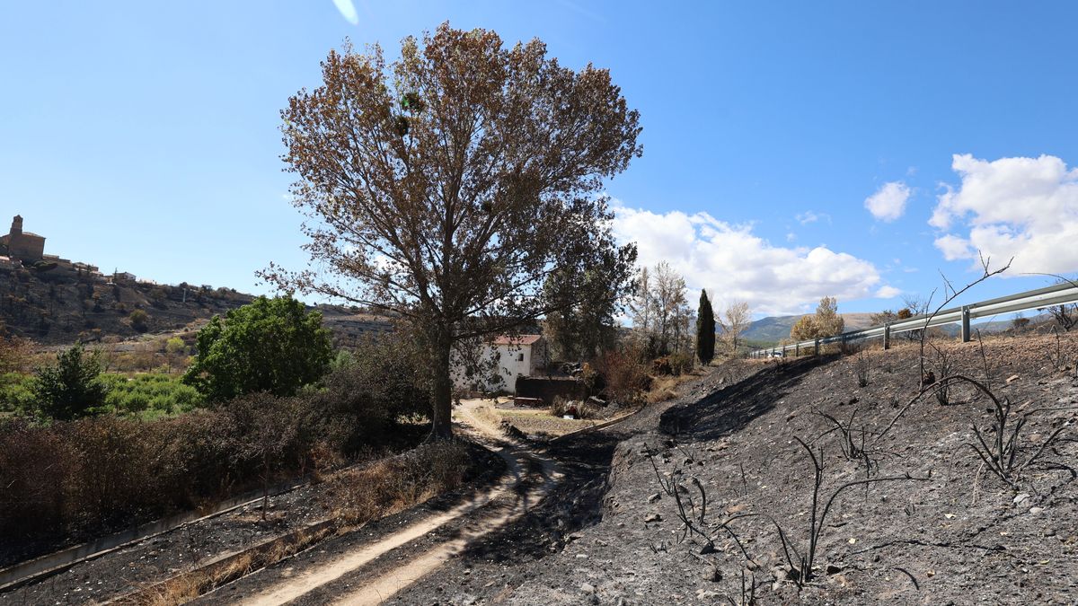 EuropaPress 4631835 terrenos afectados incendio 17 agosto 2022 alcala moncayo zaragoza aragon EuropaPress 4631835 terrenos afectados incendio 17 agosto 2022 alcala moncayo zaragoza aragon