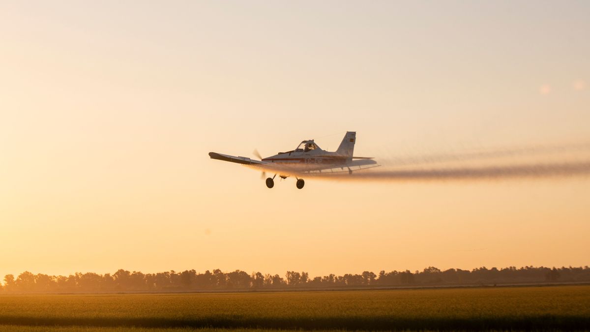 EuropaPress 4643884 avioneta abona campo arroz isla mayor 26 agosto 2022 sevilla andalucia EuropaPress 4643884 avioneta abona campo arroz isla mayor 26 agosto 2022 sevilla andalucia