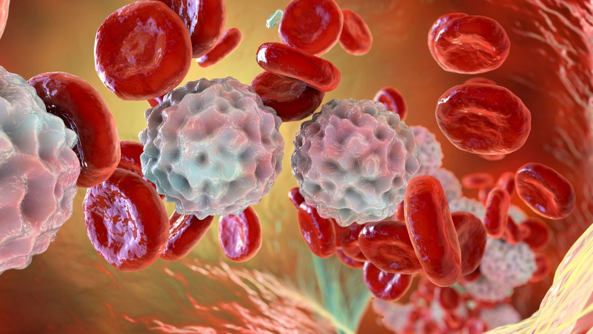 Imagen de archivo de linfocitos, donde aparece el linfoma no Hodgkin