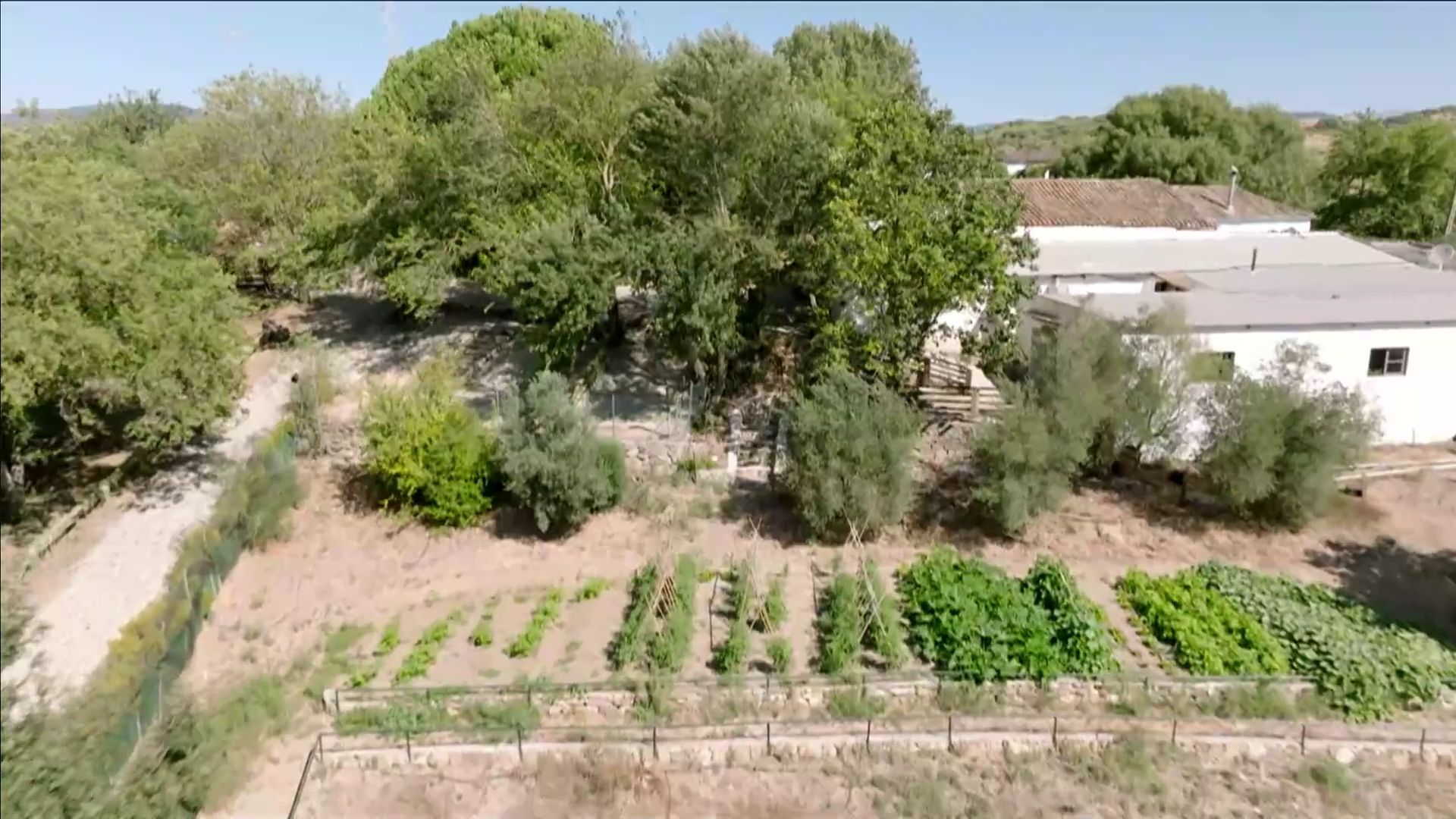 Vista aérea del campo de cultivo