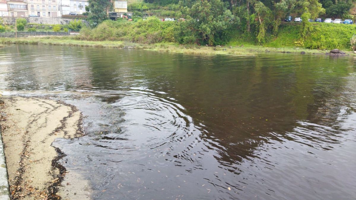 Agua turbia en el río As Pedras, que abastece al municipio de A Pobra do Caramiñal.