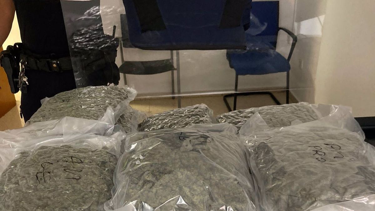 Detenidos tres hombres en Torrent con 16 kilos de marihuana ocultos en bolsas de carbón