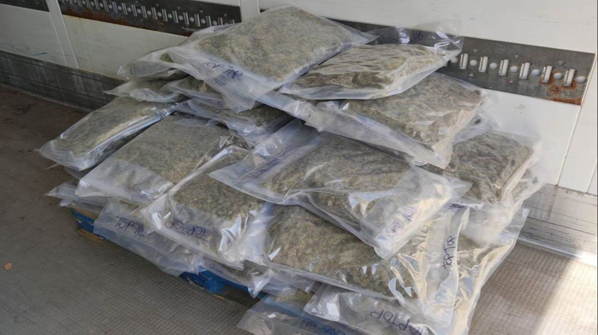 Sacos de marihuana intervenidos Sacos de marihuana intervenidos