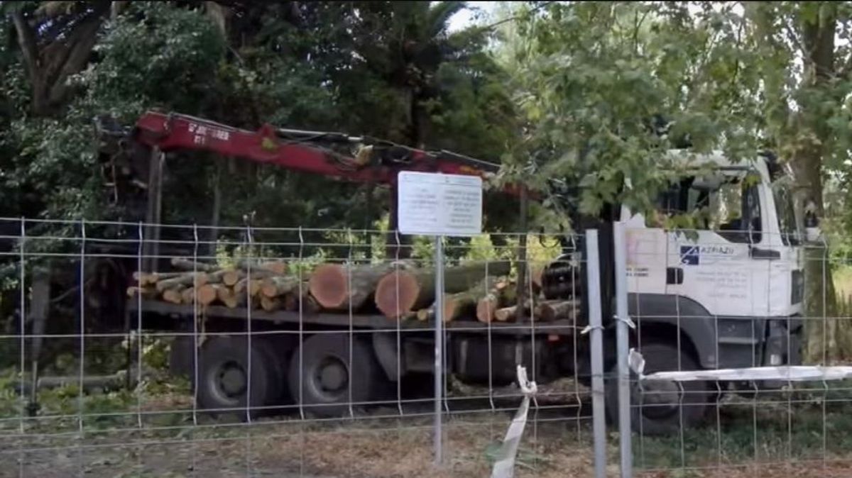 Camión cargado con árboles talados en el parque de Serralta de Barakaldo Camión cargado con árboles talados en el parque de Serralta de Barakaldo