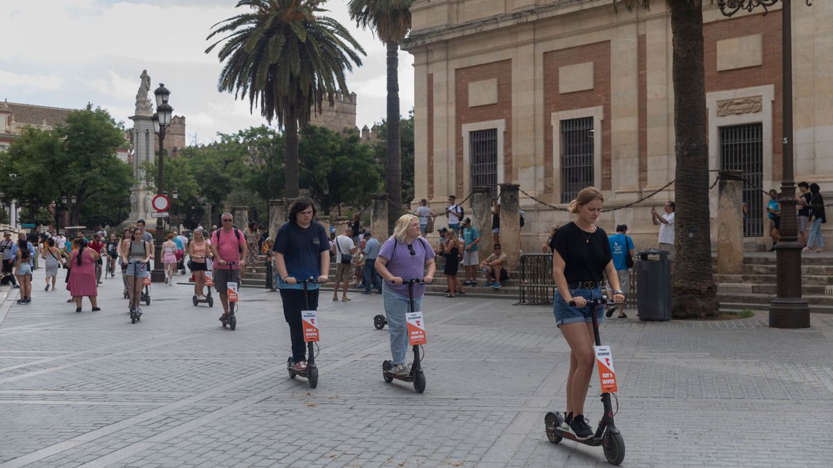 Los patinetes han proliferado en todas las grandes ciudades. Los patinetes han proliferado en todas las grandes ciudades.
