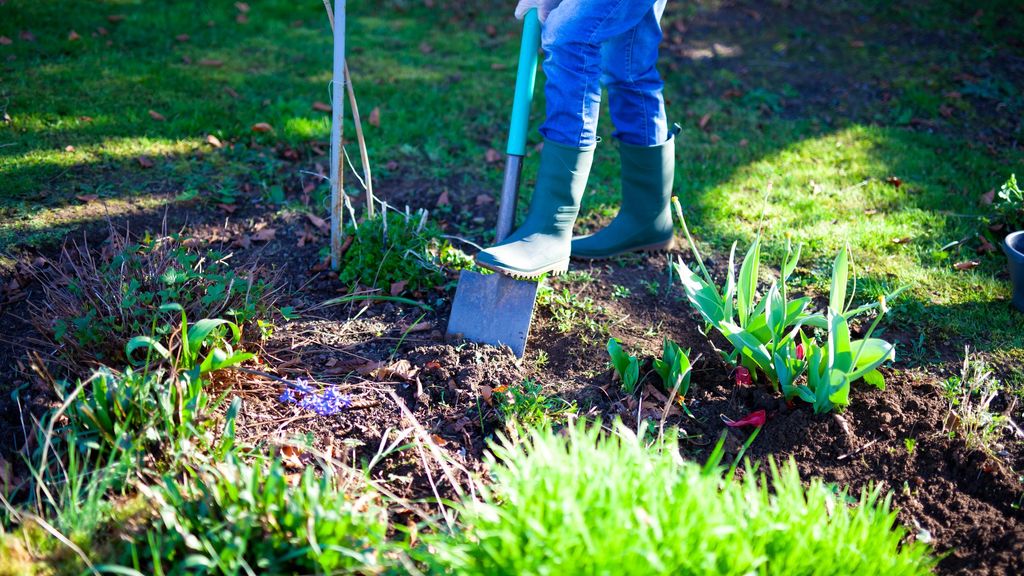 Qué plantar en un huerto en septiembre y cómo cuidarlo