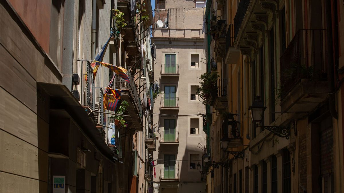 El precio de la vivienda libre modera su ritmo de crecimiento al 8% en el segundo trimestre El precio de la vivienda libre modera su ritmo de crecimiento al 8% en el segundo trimestre