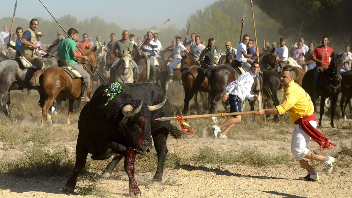 EuropaPress 1407647 contencioso tambien rechaza recurso contra decreto junta prohibio muerte EuropaPress 1407647 contencioso tambien rechaza recurso contra decreto junta prohibio muerte