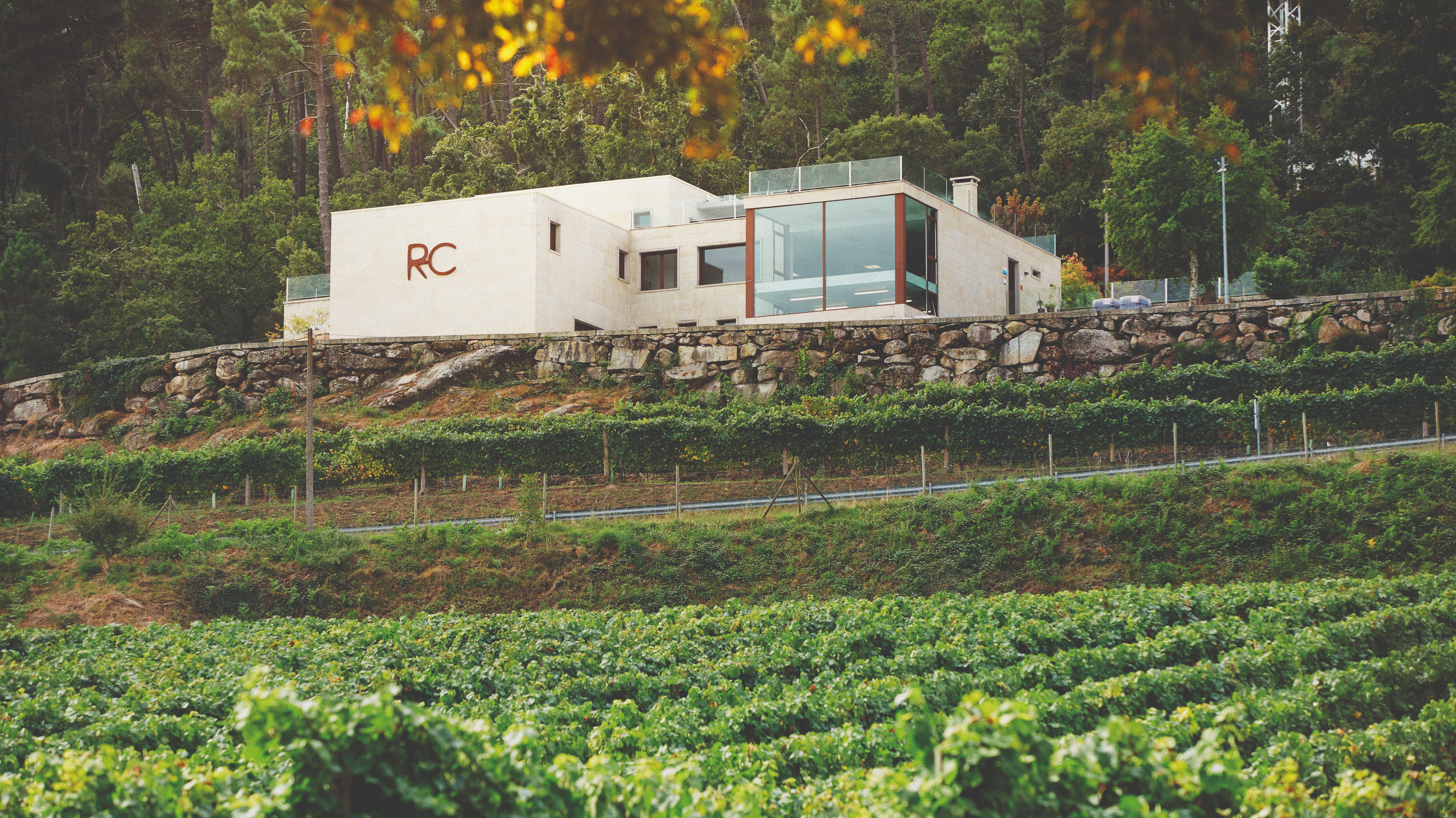 Bodega Ramón do Casar