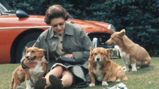 La historia de la dinastía de perros corgi de Isabel II