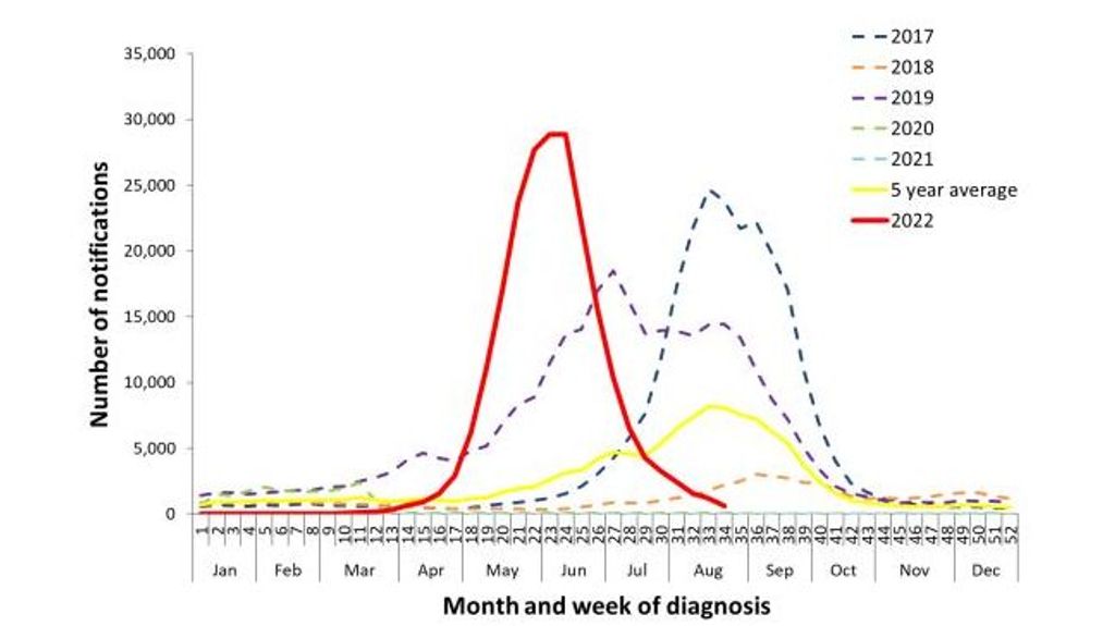grafica gripe australia