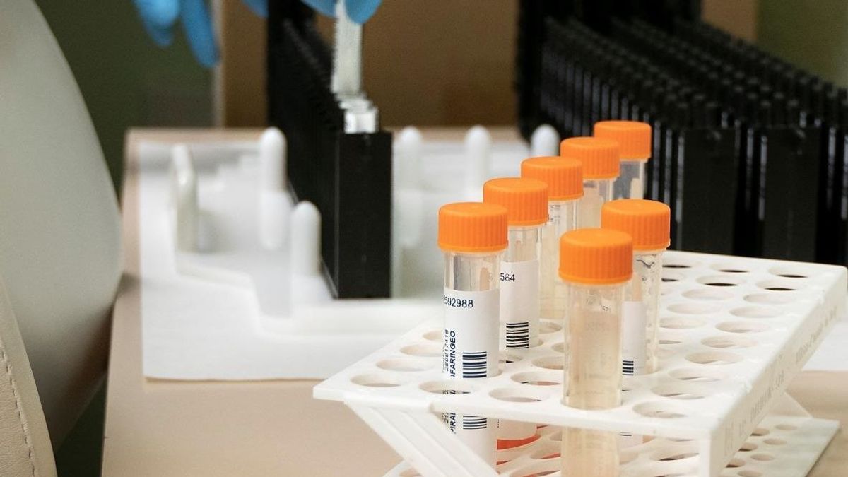 La sanidad valenciana confirma 489 positivos de viruela del mono tras sumar 16 nuevos positivos La sanidad valenciana confirma 489 positivos de viruela del mono tras sumar 16 nuevos positivos