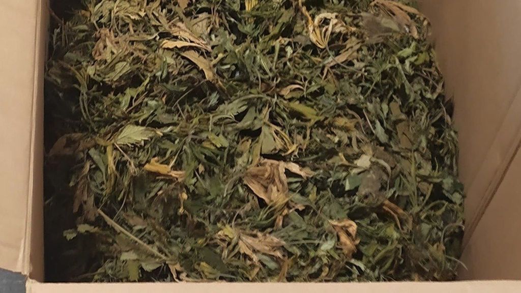 Marihuana en un paquete