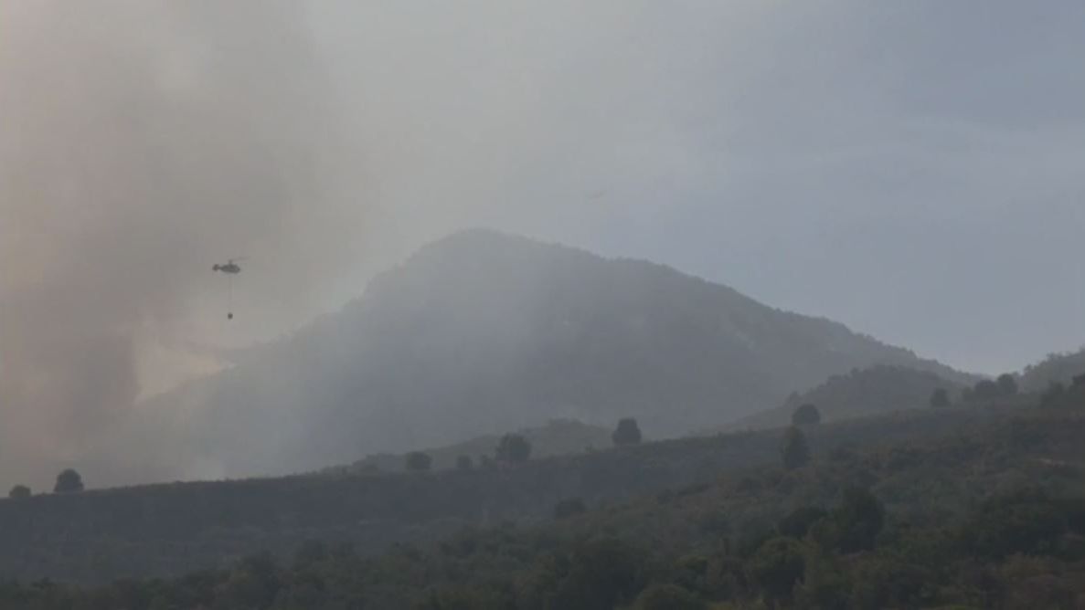 Medios aéreos y terrestres luchan contra el incendio en Los Guájares, Granada