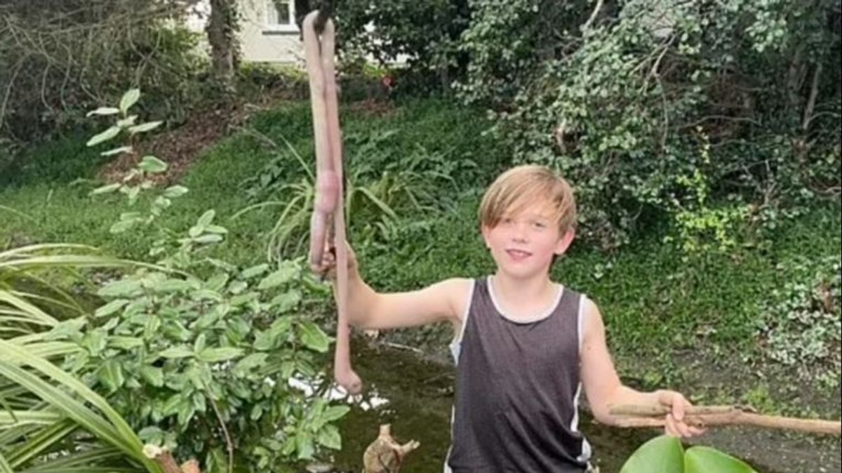 Un niño encuentra una lombriz de un metro en el jardín de casa