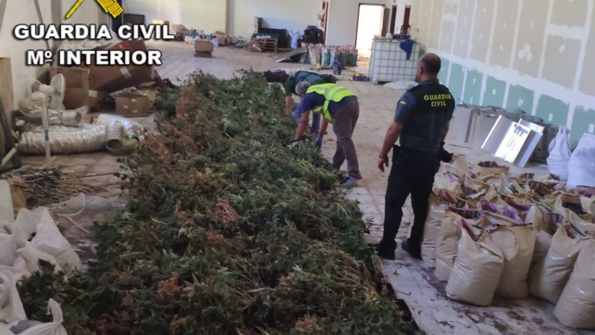 Los agentes. dentro de la nave en la que localizaron las plantas. Los agentes. dentro de la nave en la que localizaron las plantas.