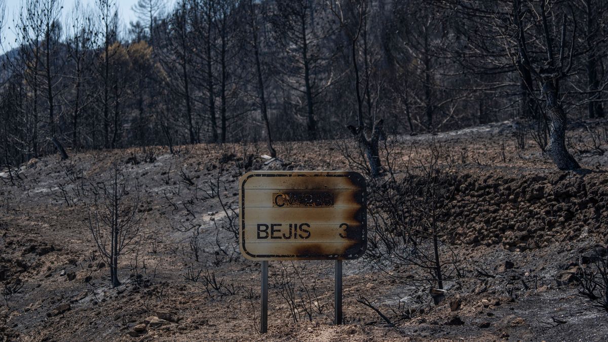 Cartel de Bejís quemado por el incendio Cartel de Bejís quemado por el incendio